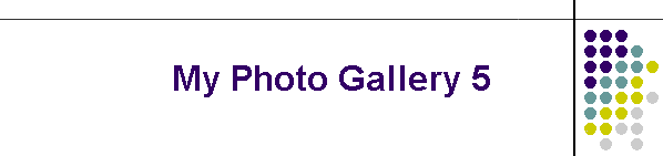 My Photo Gallery 5